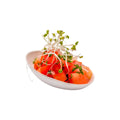 Pulp Tek Egg-Shaped White Sugarcane / Bagasse Tasting Dish - 3 1/4" x 2" x 1" - 100 count box