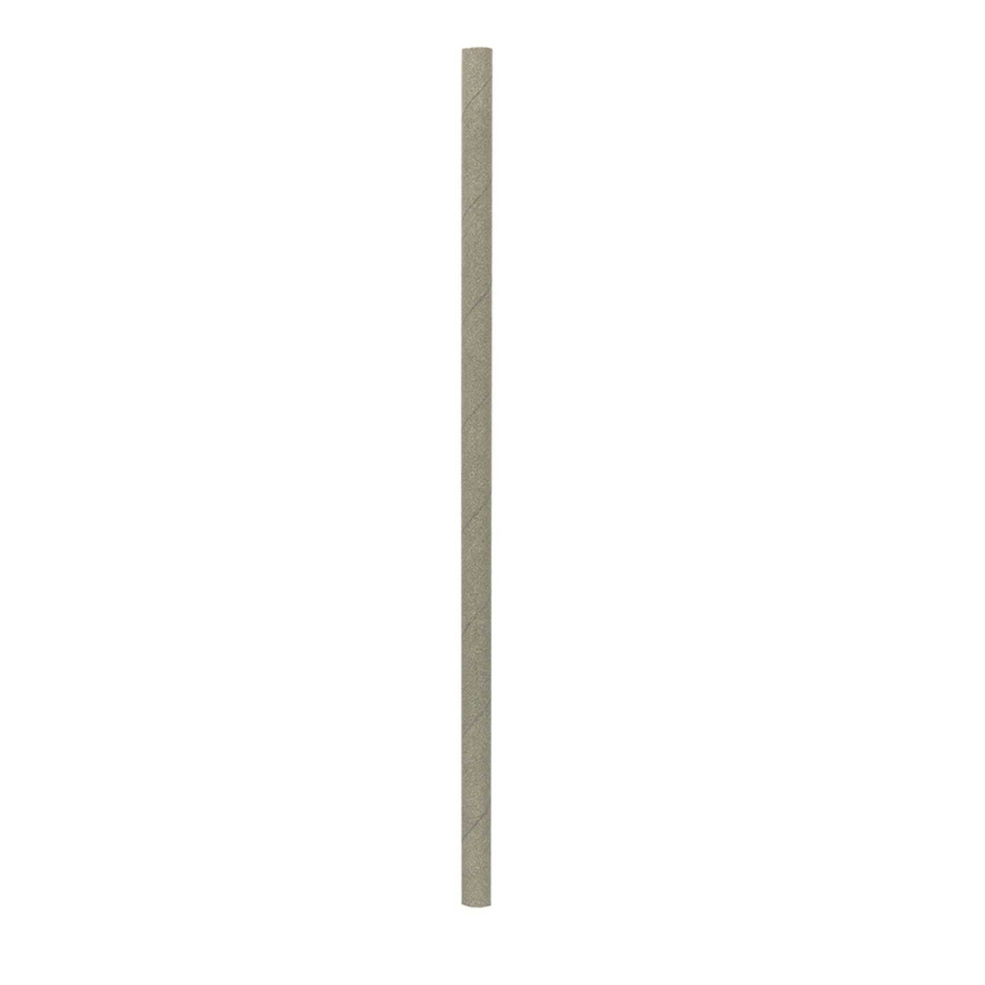 Bev Tek Silver Paper Straw - Biodegradable, 6mm - 7 3/4" - 100 count box