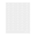 Label Tek Plastic Fresh Squeezed Label - Clear with White Font, Water-Resistant - 2" x 1" - 100 count box