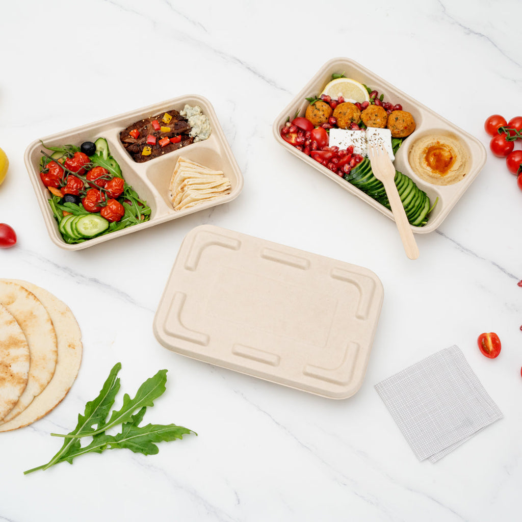 Pulp Tek Rectangle Natural Sugarcane / Bagasse Flat Lid - Fits To Go Container - 100 count box