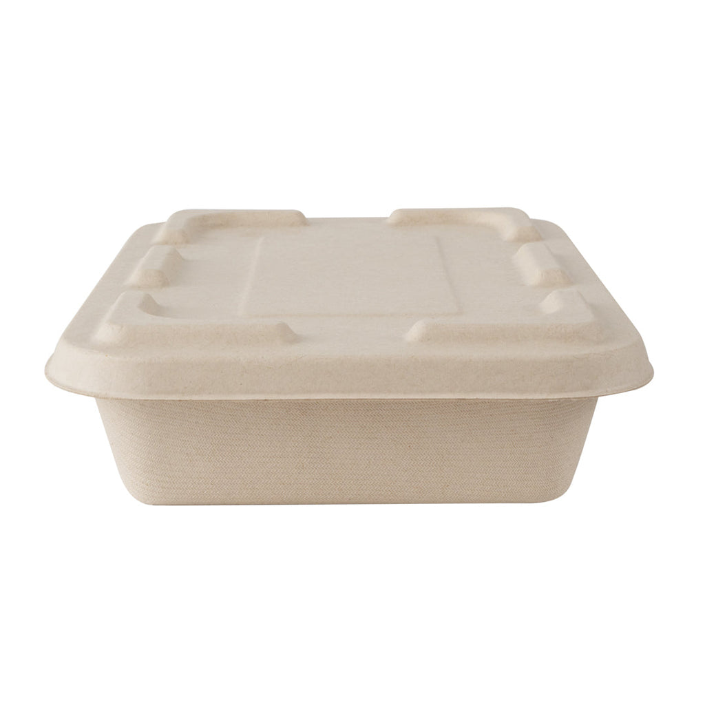 Pulp Tek Rectangle Natural Sugarcane / Bagasse Flat Lid - Fits To Go Container - 100 count box