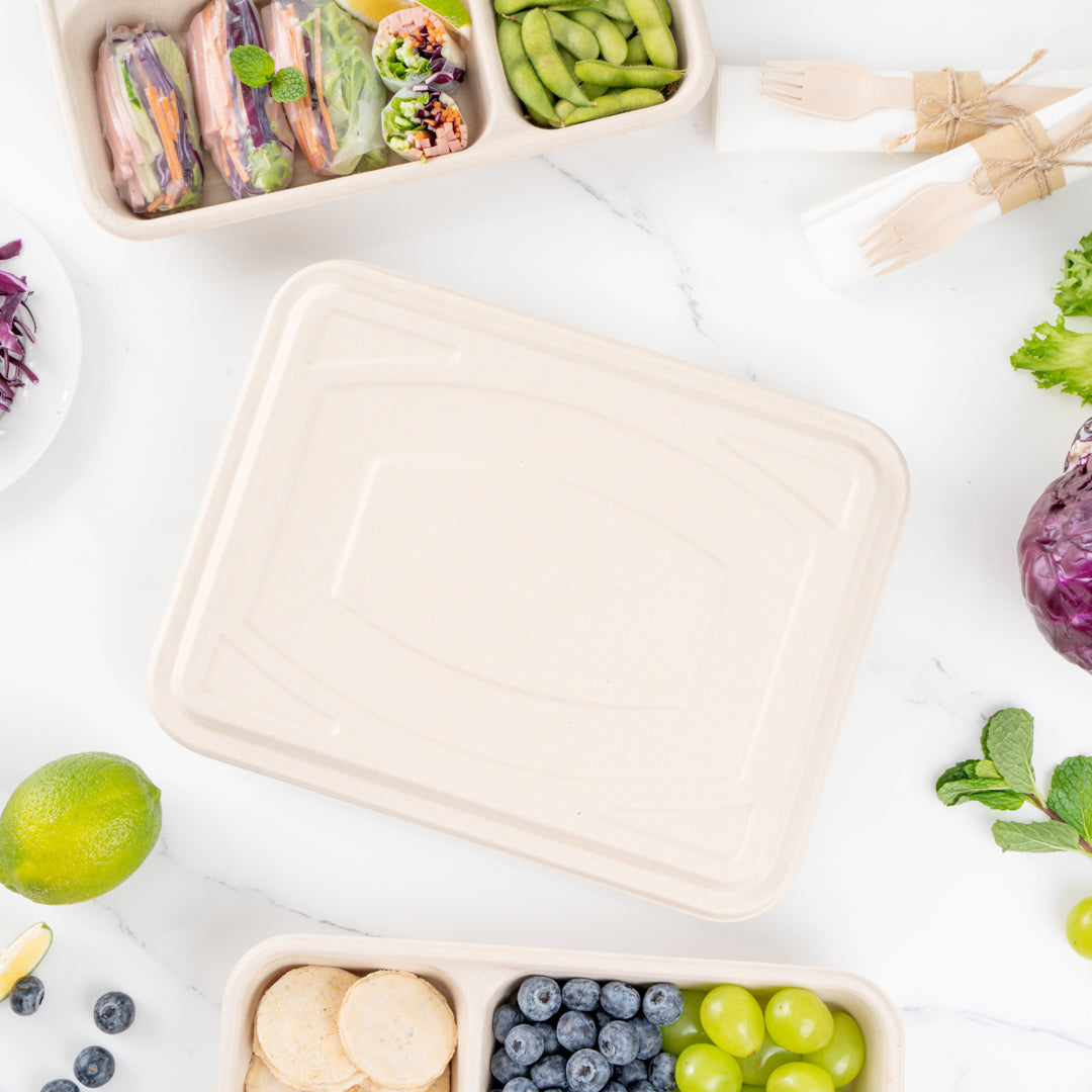Pulp Tek Rectangle Natural Bagasse Flat Lid - Fits To Go Trays - 100 count box