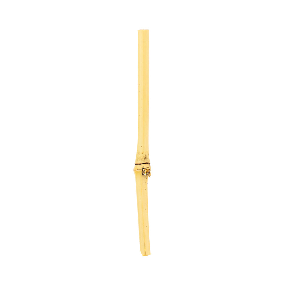 Pixy Natural Bamboo Twig Pick - 4" - 1000 count box