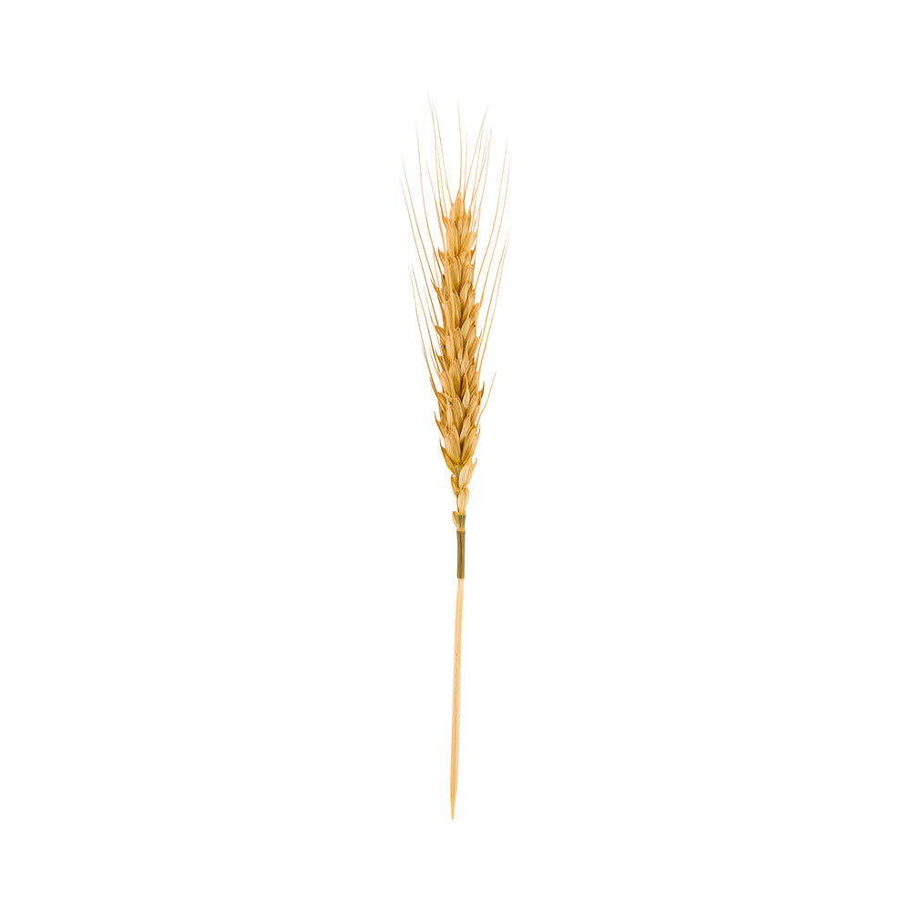 Pixy Natural Wheat Skewer - 6" - 500 count box