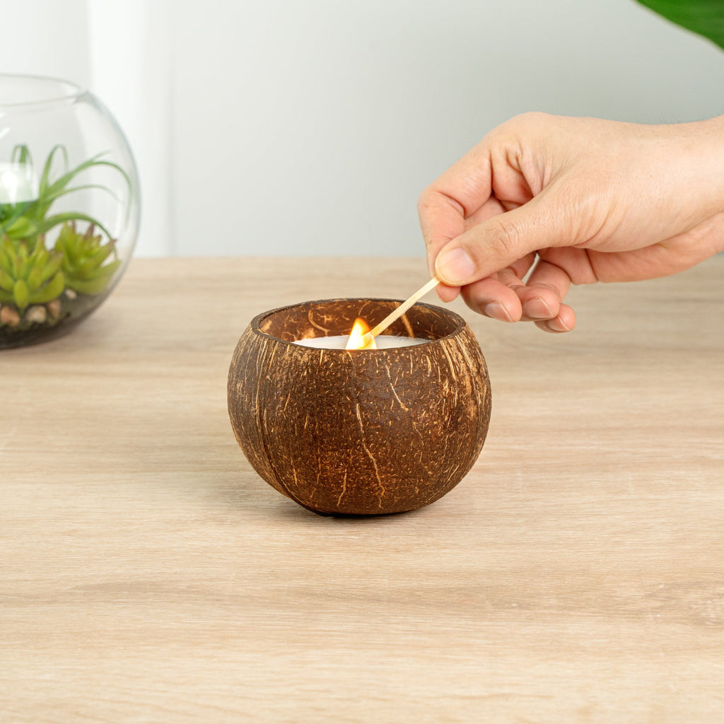 Coco Casa Handmade Coconut Shell Candle - Vanilla - 4" x 4" x 2 3/4" - 10 count box