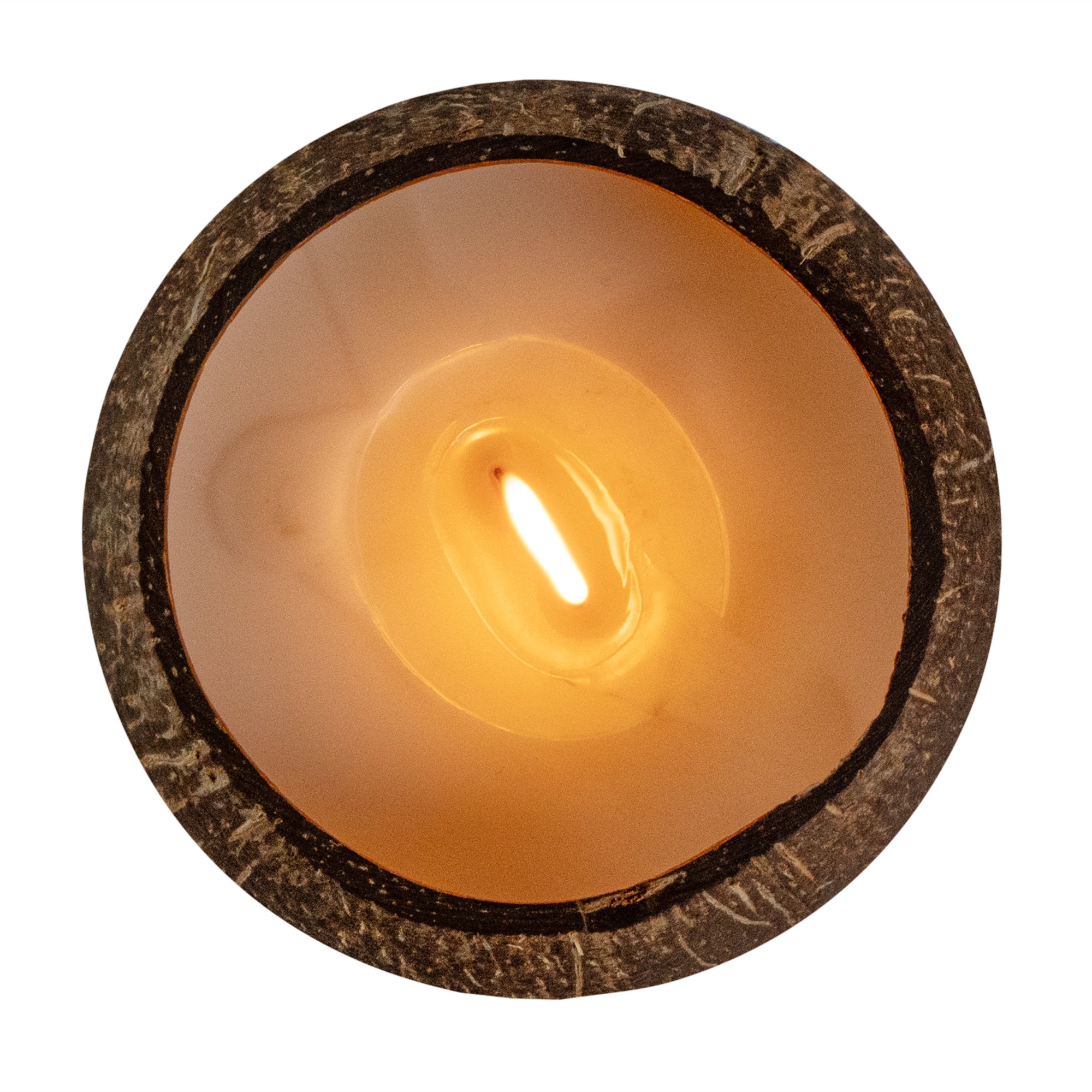 Coco Casa Handmade Coconut Shell Candle - Cinnamon - 4" x 4" x 2 3/4" - 1 count box