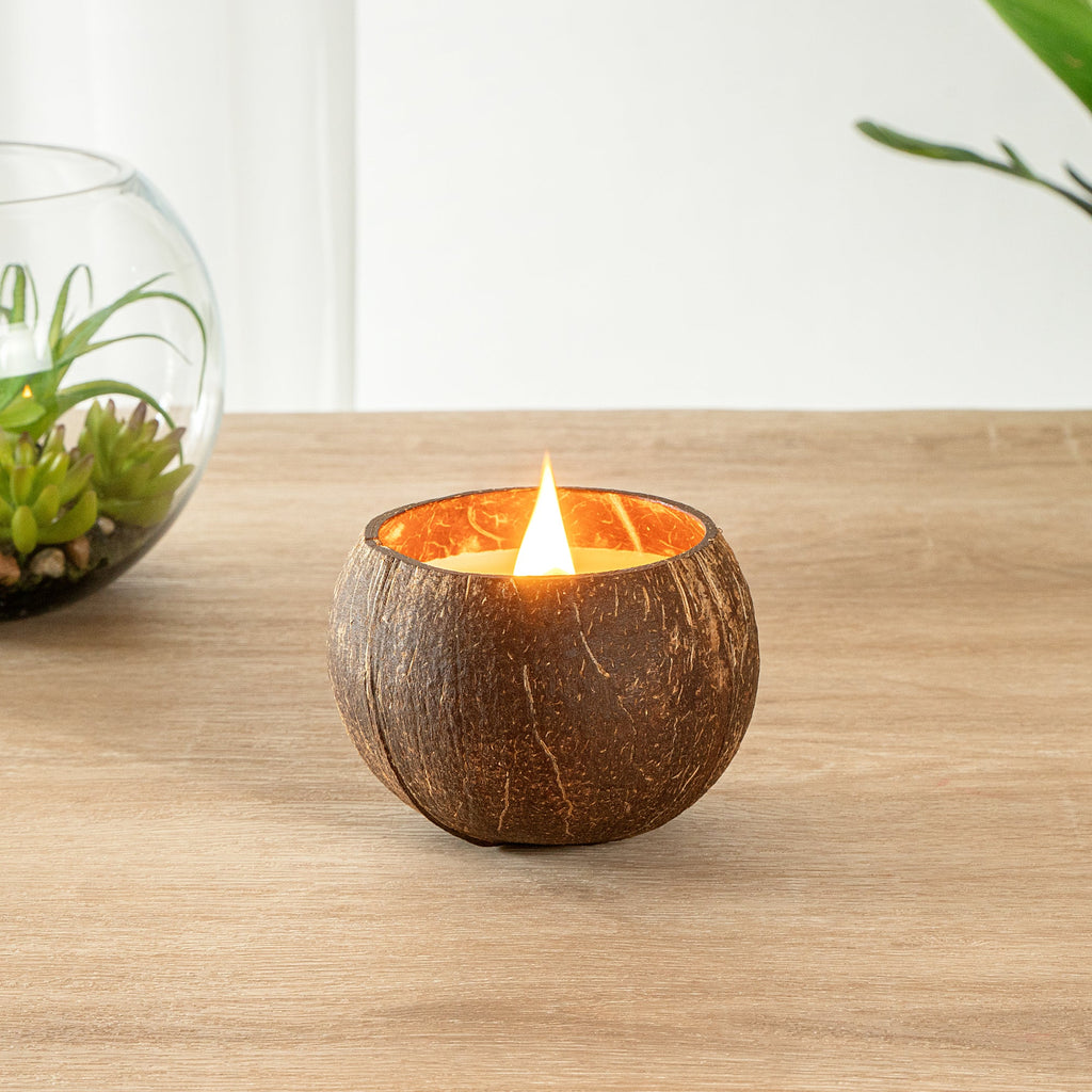 Coco Casa Handmade Coconut Shell Candle - Cinnamon - 4" x 4" x 2 3/4" - 10 count box
