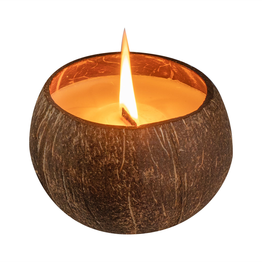 Coco Casa Handmade Coconut Shell Candle - Cinnamon - 4" x 4" x 2 3/4" - 10 count box