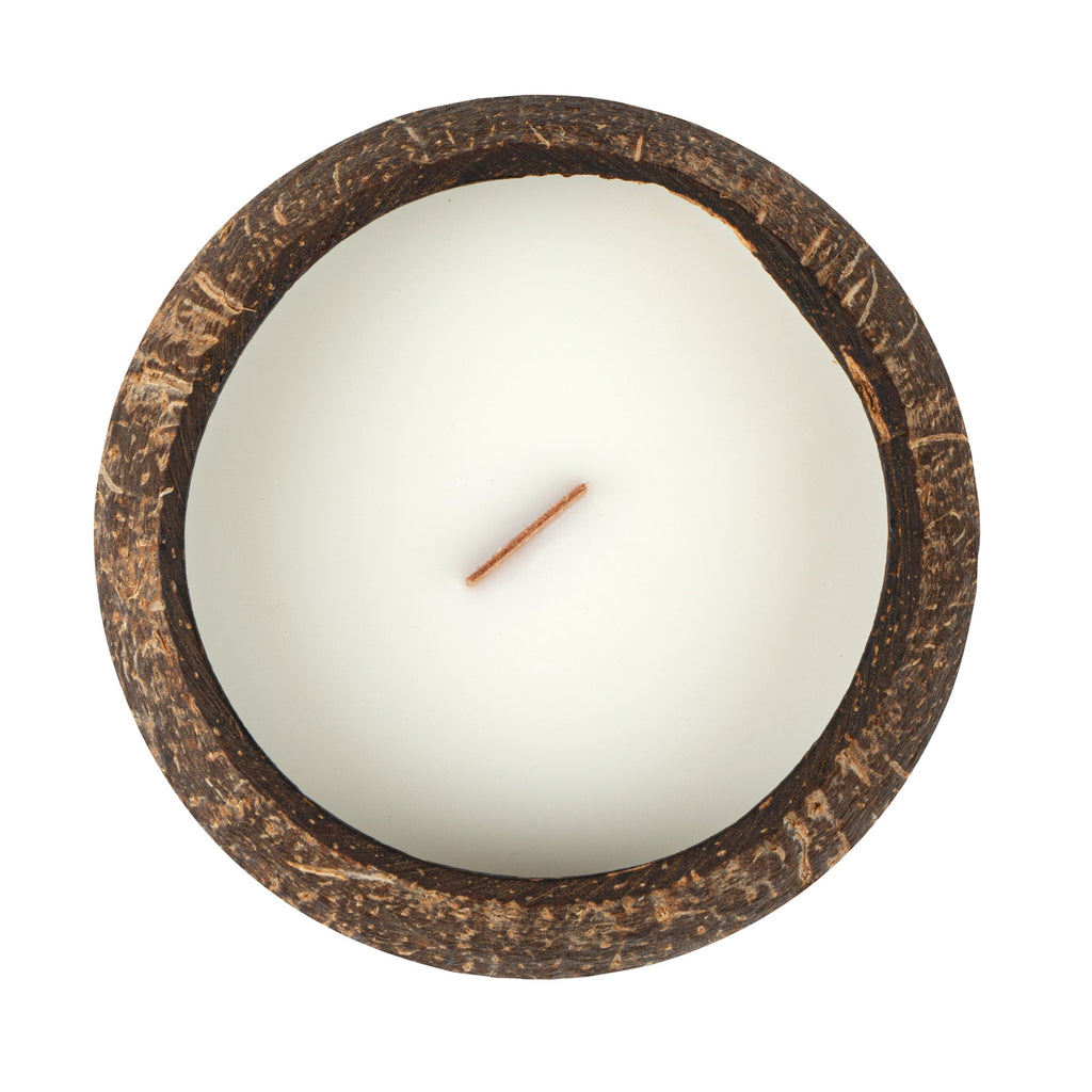 Coco Casa Handmade Coconut Shell Candle - Cinnamon - 4" x 4" x 2 3/4" - 10 count box