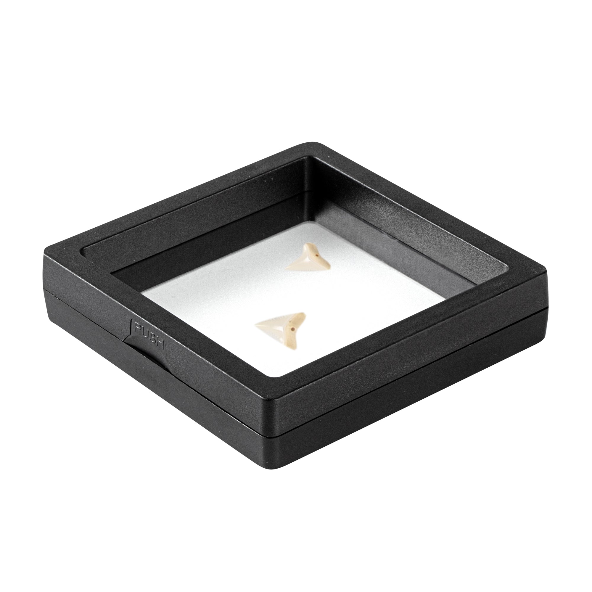 Display Tek Square Black Plastic 3D Floating Display Case - 3 1/2" x 3 1/2" x 3/4" - 10 count box