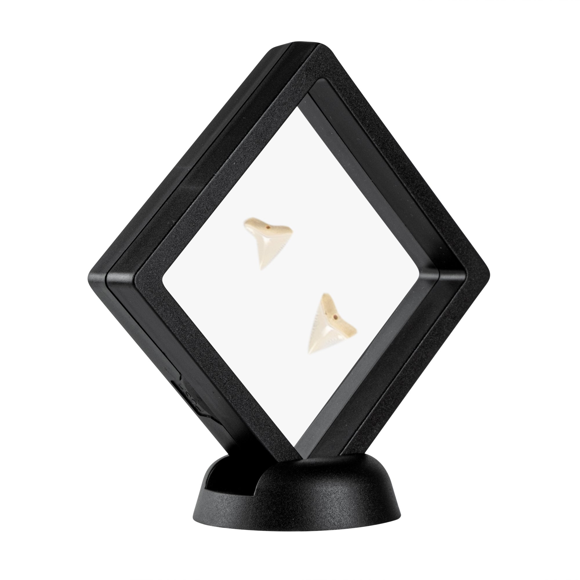 Display Tek Square Black Plastic 3D Floating Display Case - 3 1/2" x 3 1/2" x 3/4" - 10 count box