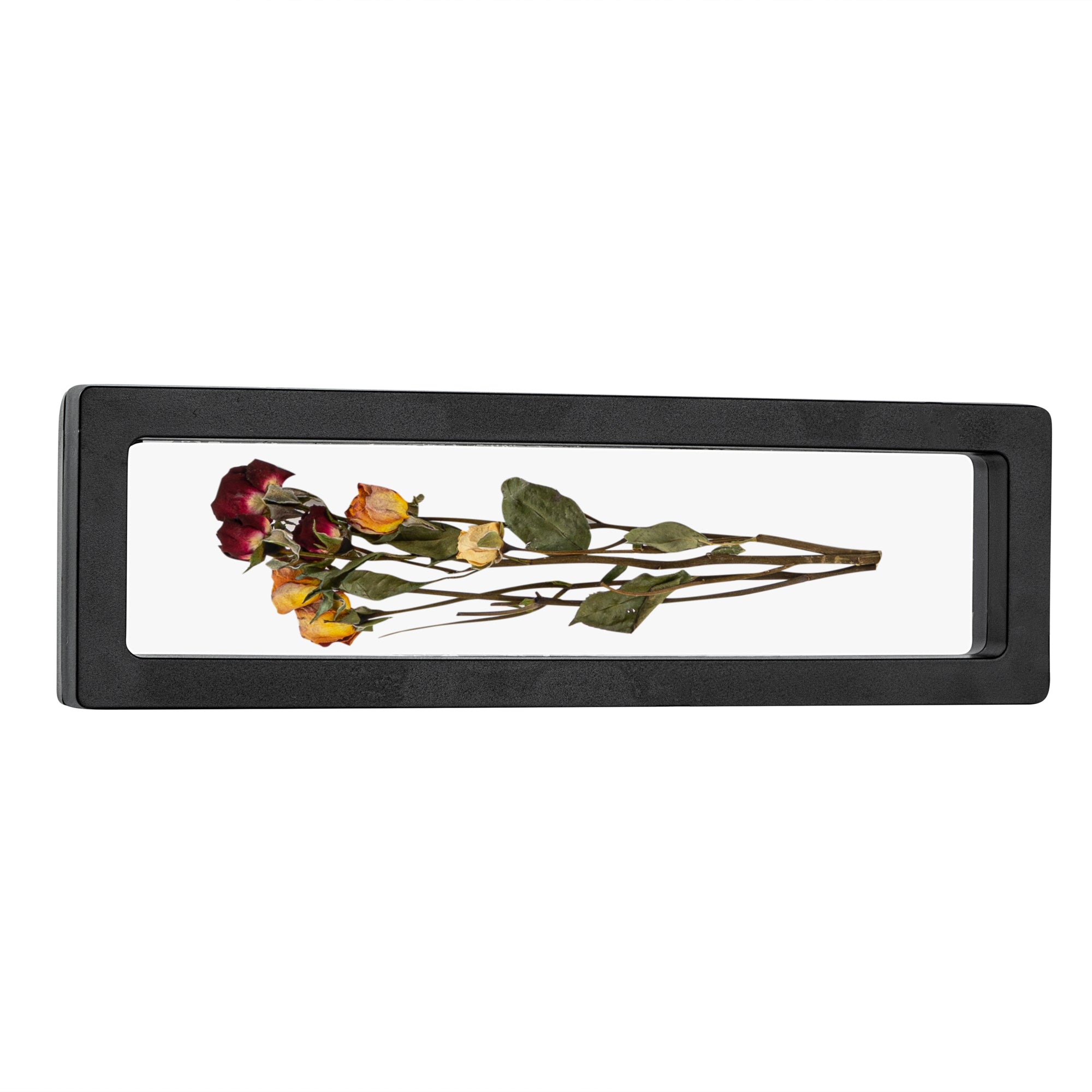 Display Tek Rectangle Black Plastic 3D Floating Display Case - 11 3/4" x 3 1/2" x 3/4" - 10 count box