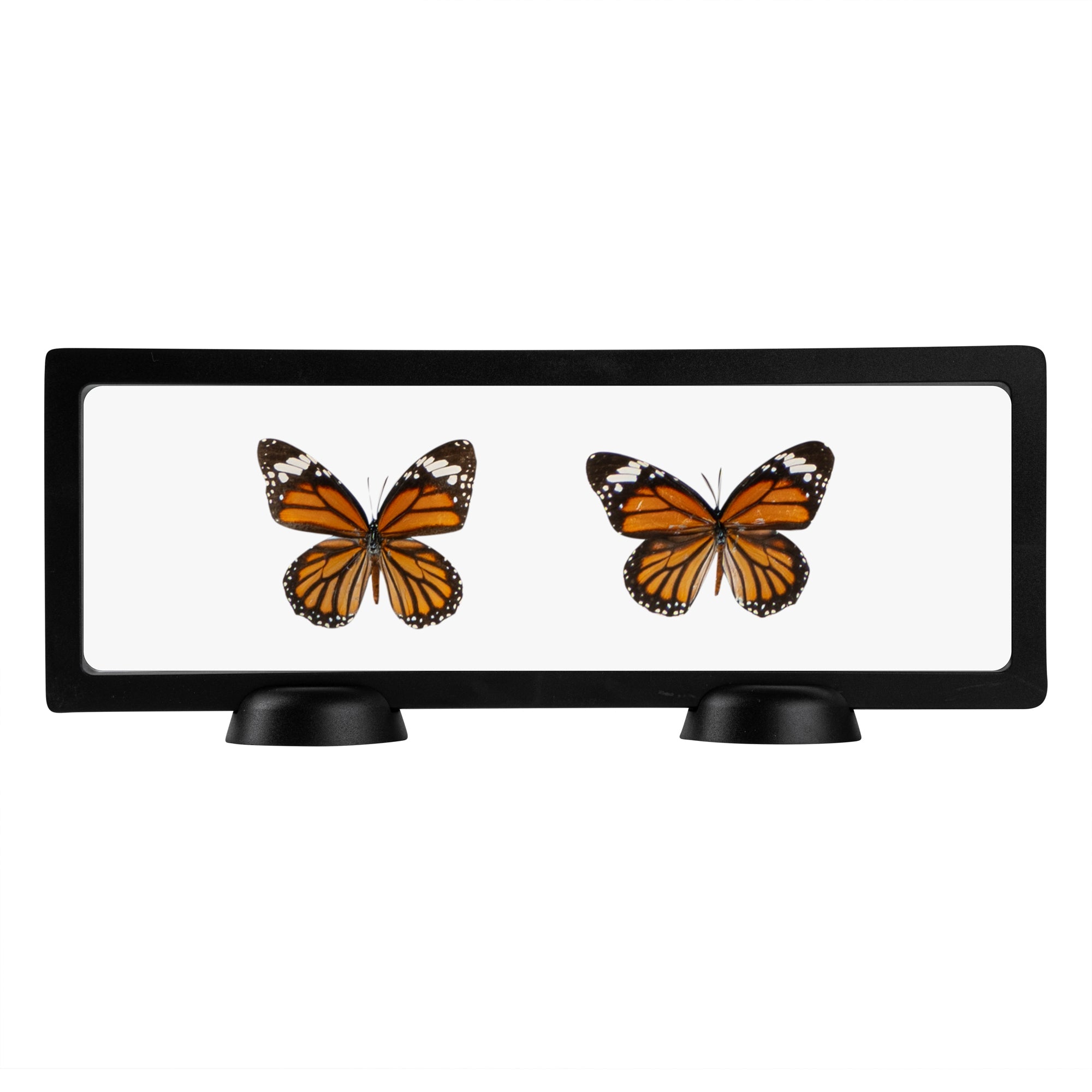 Display Tek Rectangle Black Plastic 3D Floating Display Case - 11 3/4" x 4 1/4" x 3/4" - 10 count box