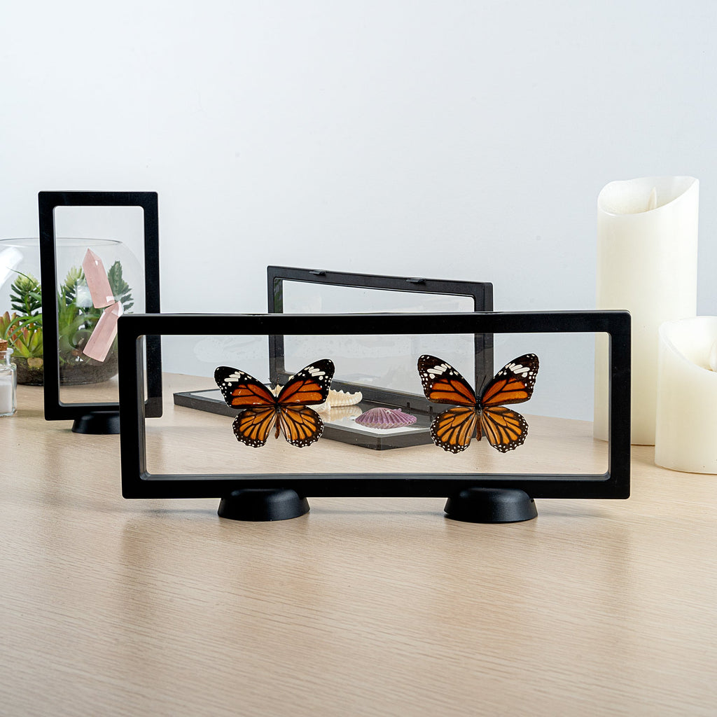 Display Tek Rectangle Black Plastic 3D Floating Display Case - 11 3/4" x 4 1/4" x 3/4" - 10 count box