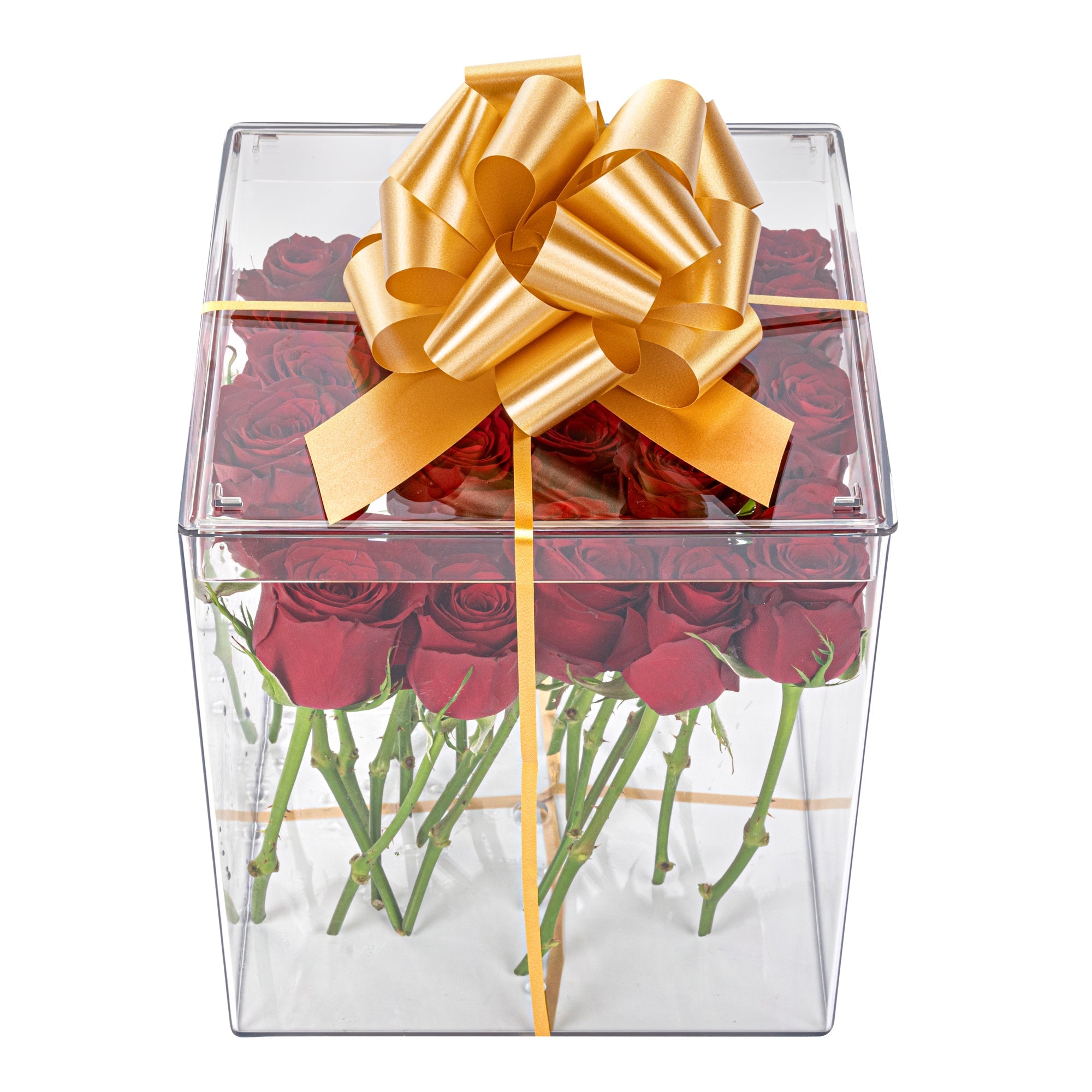 Gift Tek Gold Plastic Flora Satin Pull Bow - 5 1/2" - 10 count box