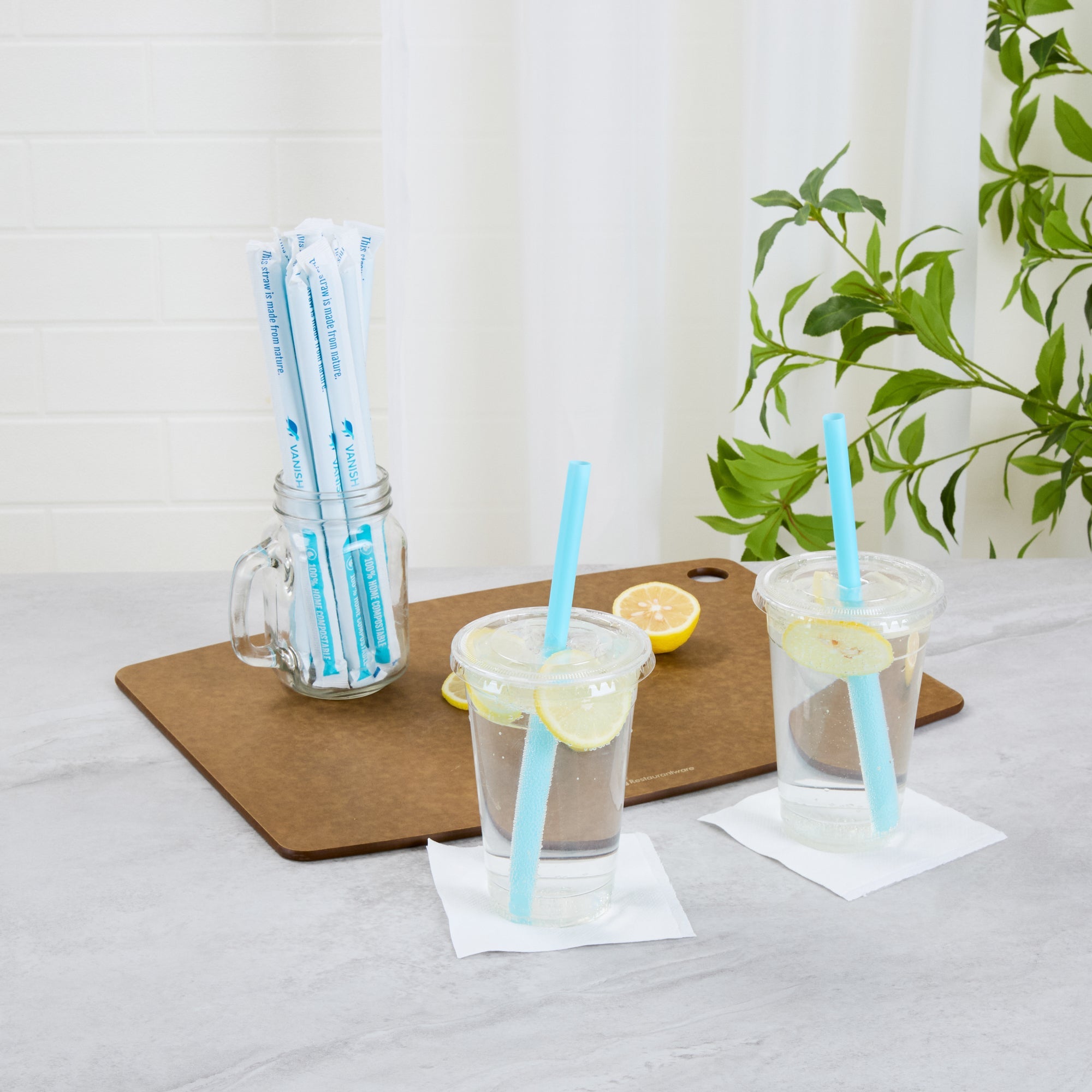 Vanish Blue PHA Plastic Straw - Wrapped, Compostable - 9" - 1000 count box