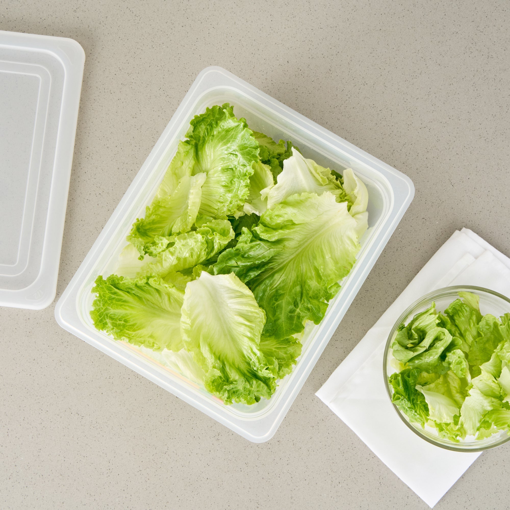 Met Lux Rectangle White Polypropylene Half Size Food Pan - 6" Deep, with Label - 10 count box