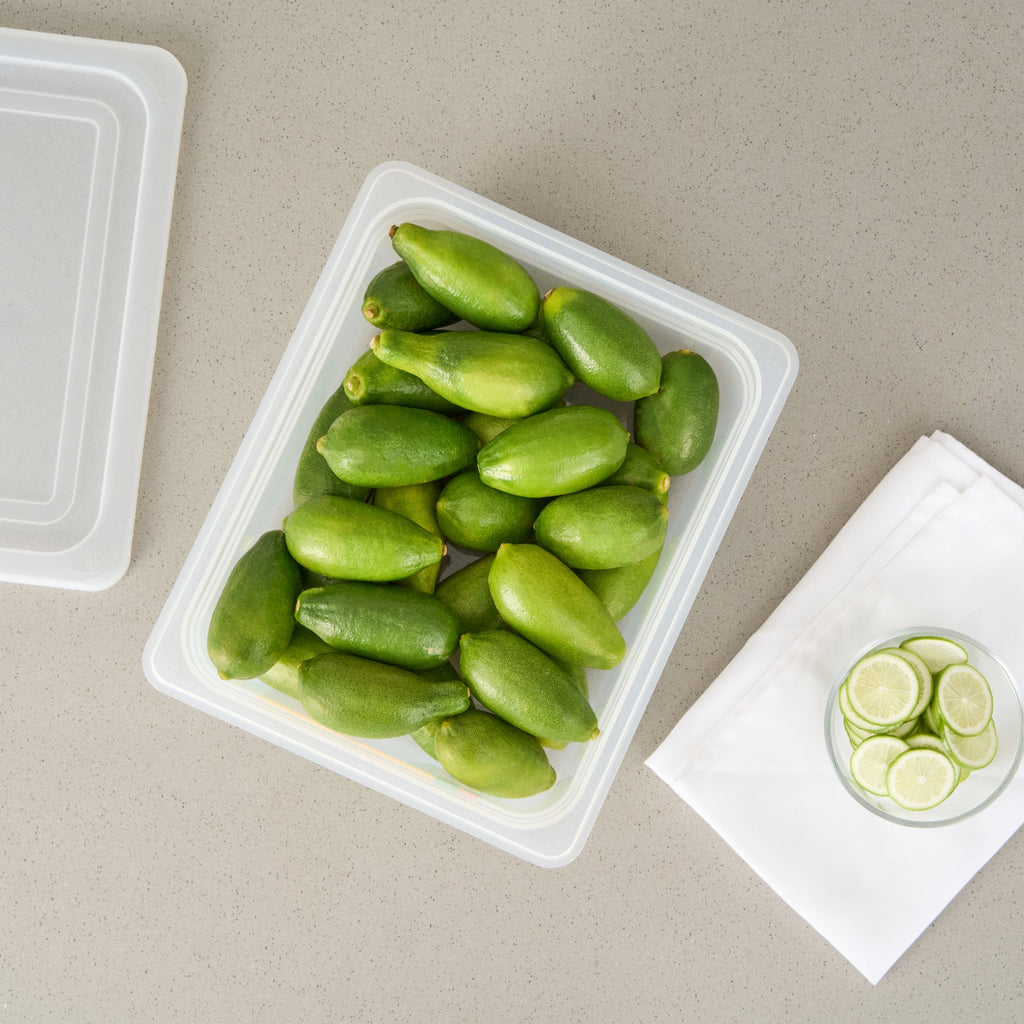 Met Lux Rectangle White Polypropylene Half Size Food Pan - 4" Deep, with Label - 10 count box