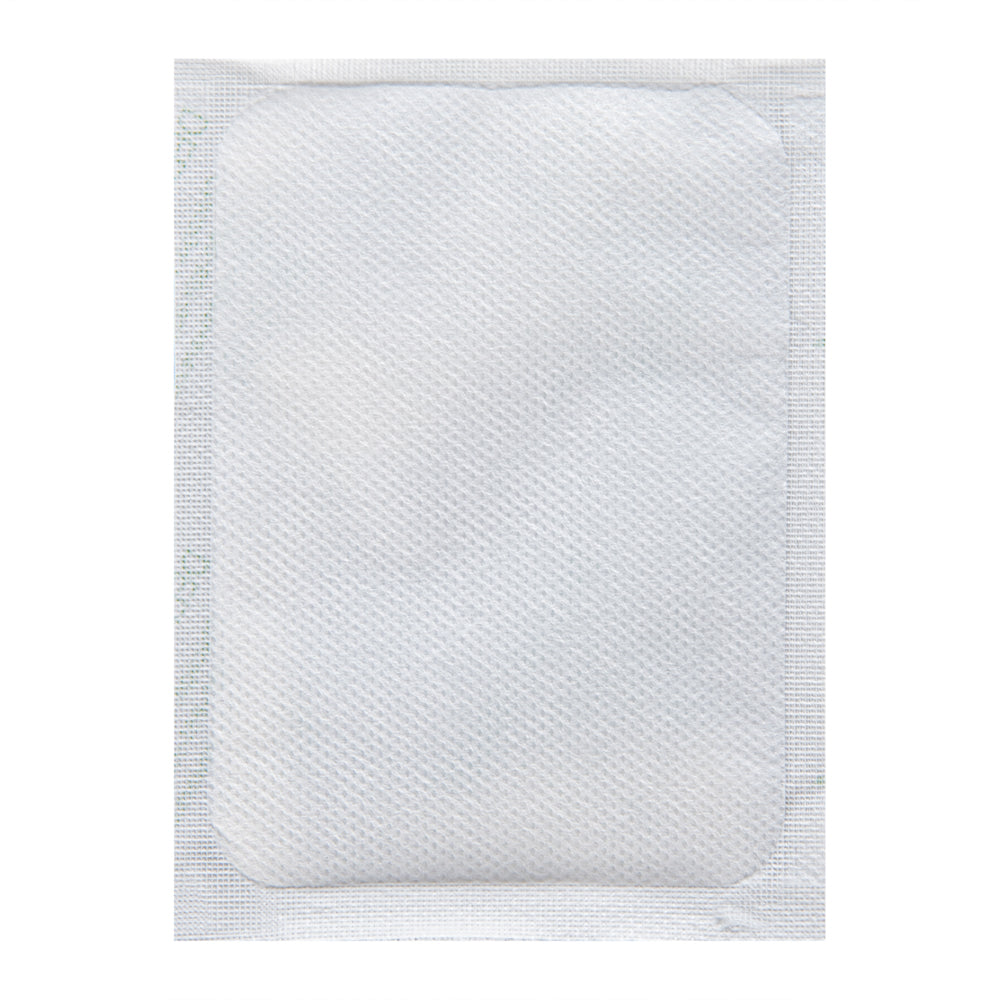 Delivery Tek Plastic Shipping Ice Pack - 5" x 3 3/4" - 100 count box