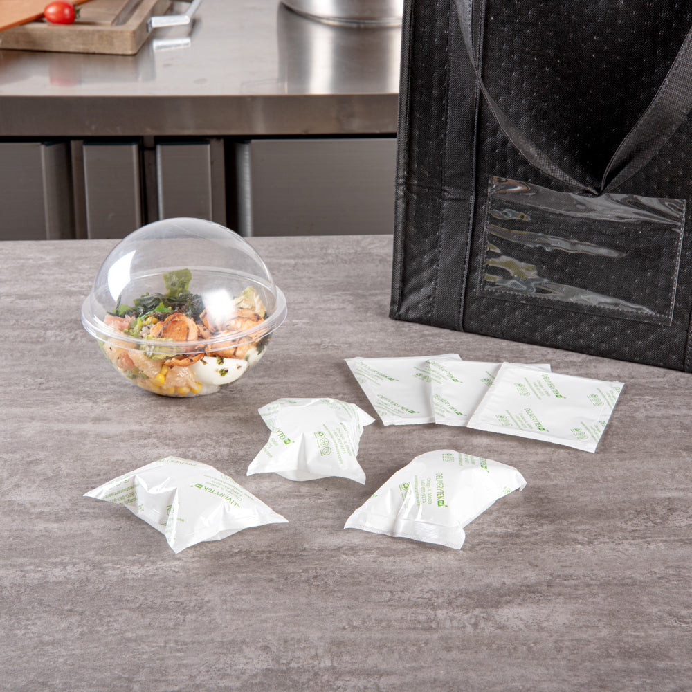 Delivery Tek Plastic Shipping Ice Pack - 5" x 3 3/4" - 100 count box