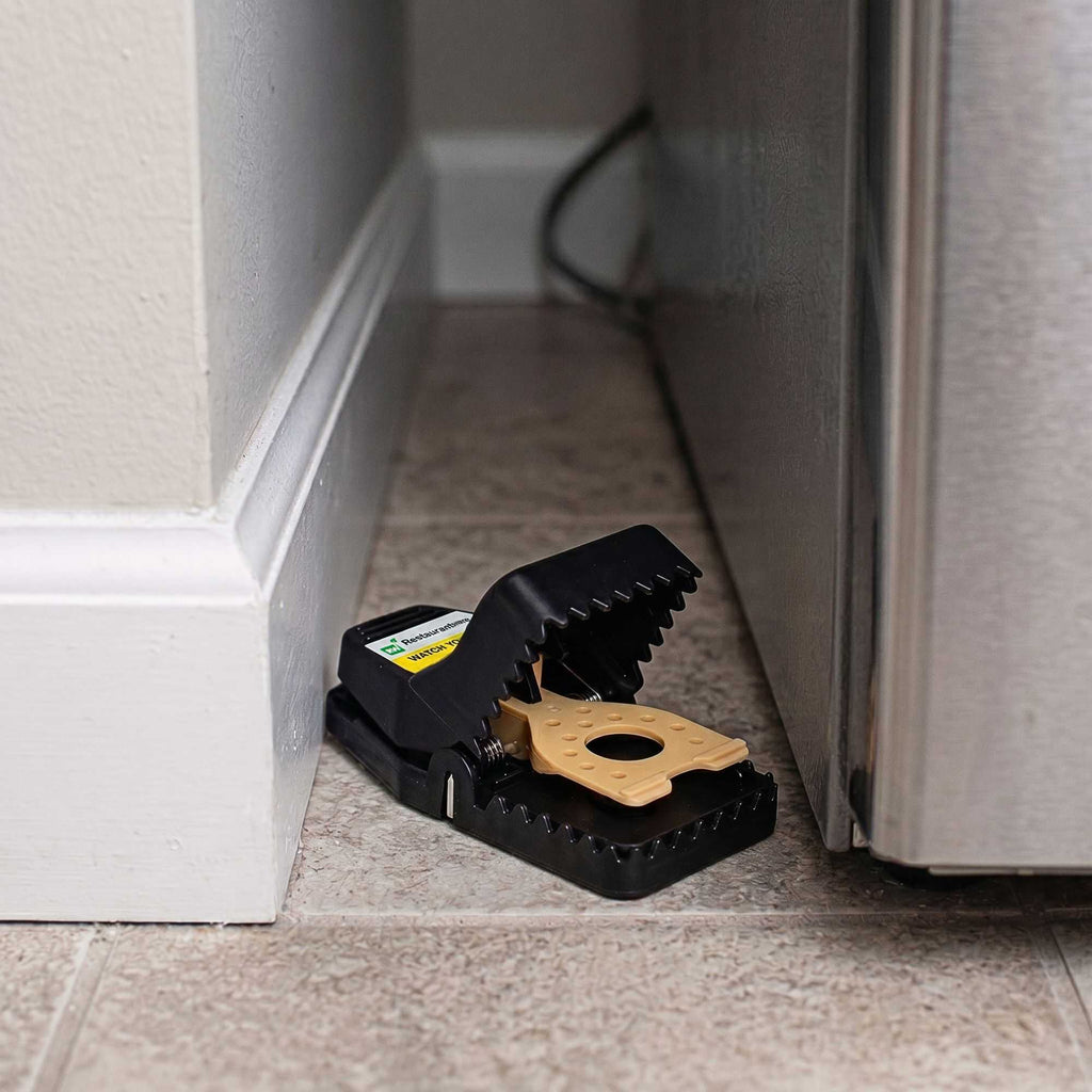 Pest Tek Black Plastic Mouse Trap - Interlocking Teeth, Open Top, Reusable - 4 1/2" x 2" x 2 1/4" - 6 count box