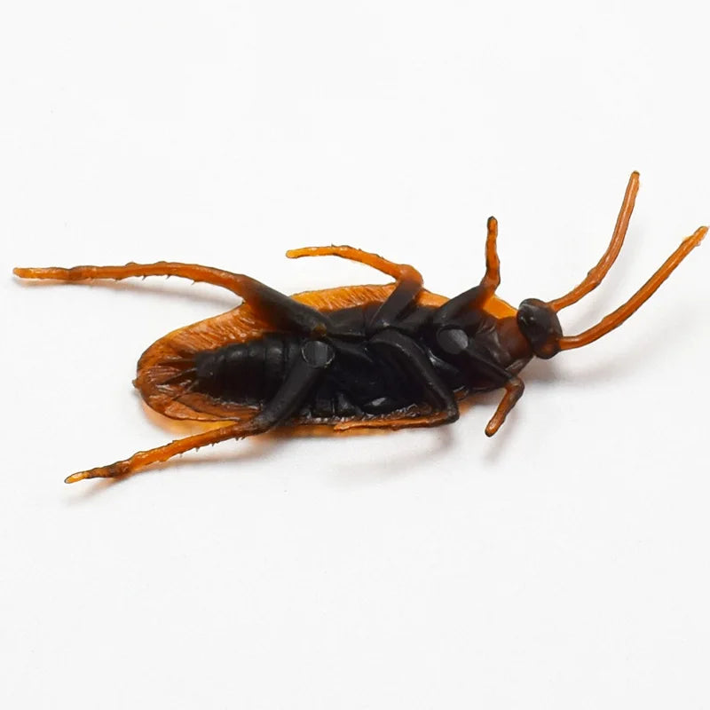 Realistic Rubber Cockroach Prank Props | 5-50 Pieces Set