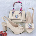 Italian Shoe and Bag Set New HFG1-23