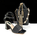 Lastest Ladies Shoes with Matching Bag Set  HJJ1-23
