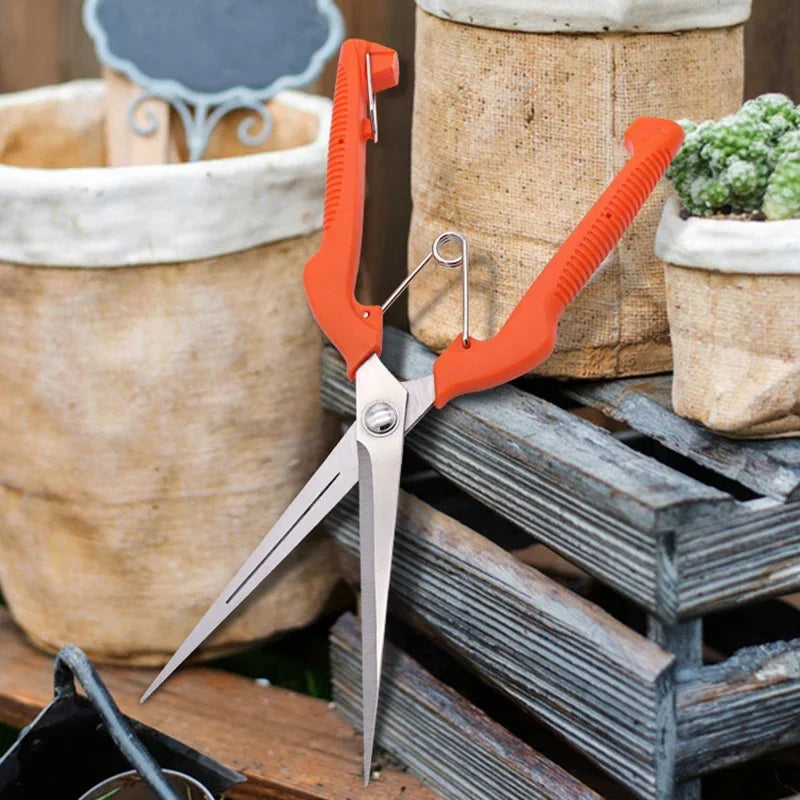 Grape Scissors Pruning Shears | Professional Stainless Steel Garden Tool