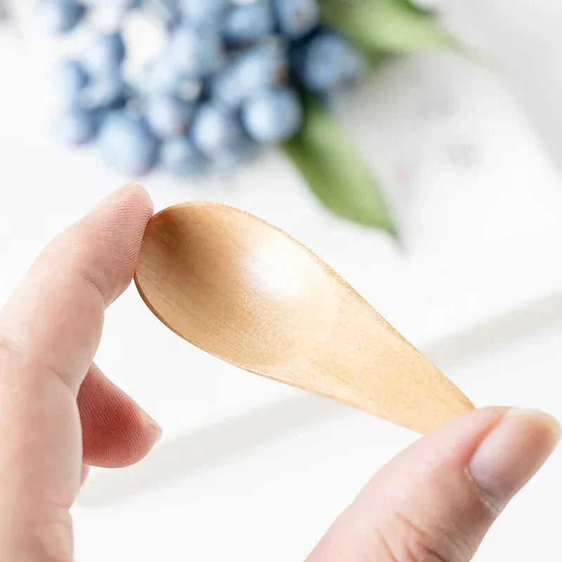 Wooden Mini Salt Spoon | Small Solid Wood Condiment Spoon