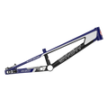 SYB 205: 20.5” TT Pro BMX Frame