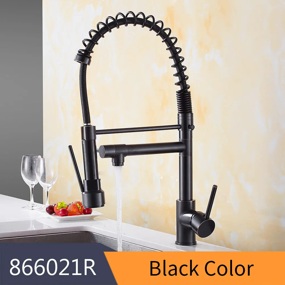 DecorBites™ Gold Spring Spout Kitchen Faucet - Single Pull Out Mixer Tap