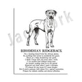 DecorBites™ Dog Breed Poster featuring Rhodesian Ridgeback, Havanese, and More