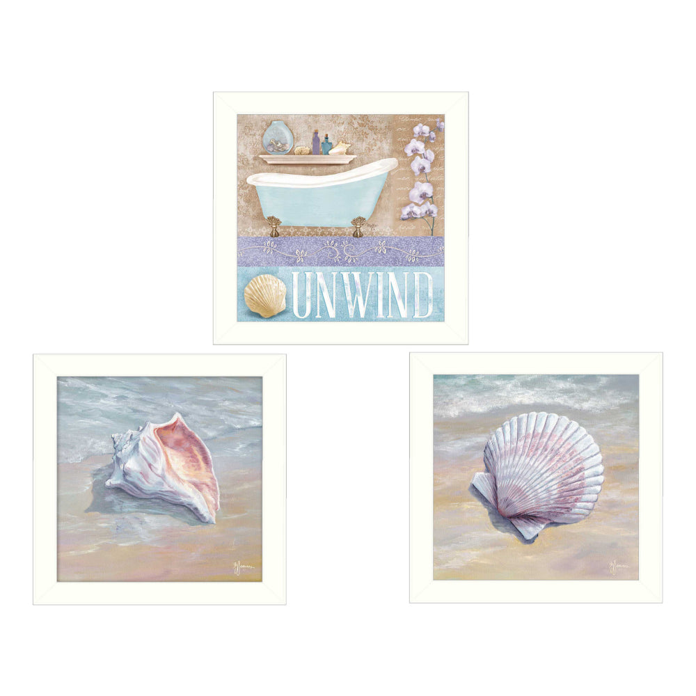 "Shells II Collection" 3-Piece Framed Wall Art Set by Mollie B. & G. Janisse | Coastal Prints, White Frame