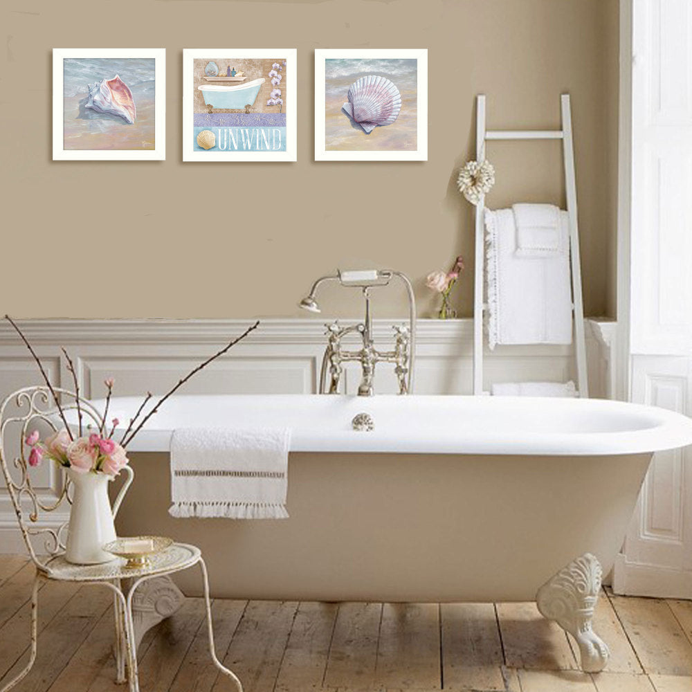 "Shells II Collection" 3-Piece Framed Wall Art Set by Mollie B. & G. Janisse | Coastal Prints, White Frame