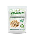 Yuvagrow Muskmelon Seeds