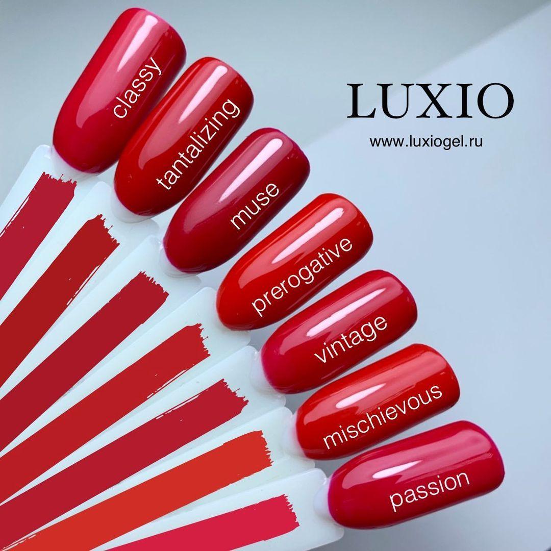 Akzentz Luxio - Muse