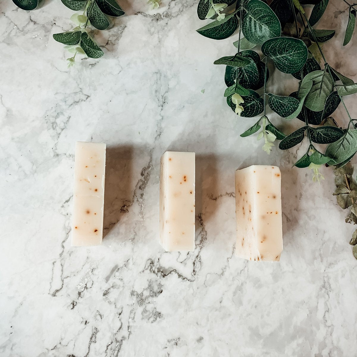 Aloe Eucalyptus Soothing Soap Bar Aloe Vera After-Sun Relief Natural Eucalyptus