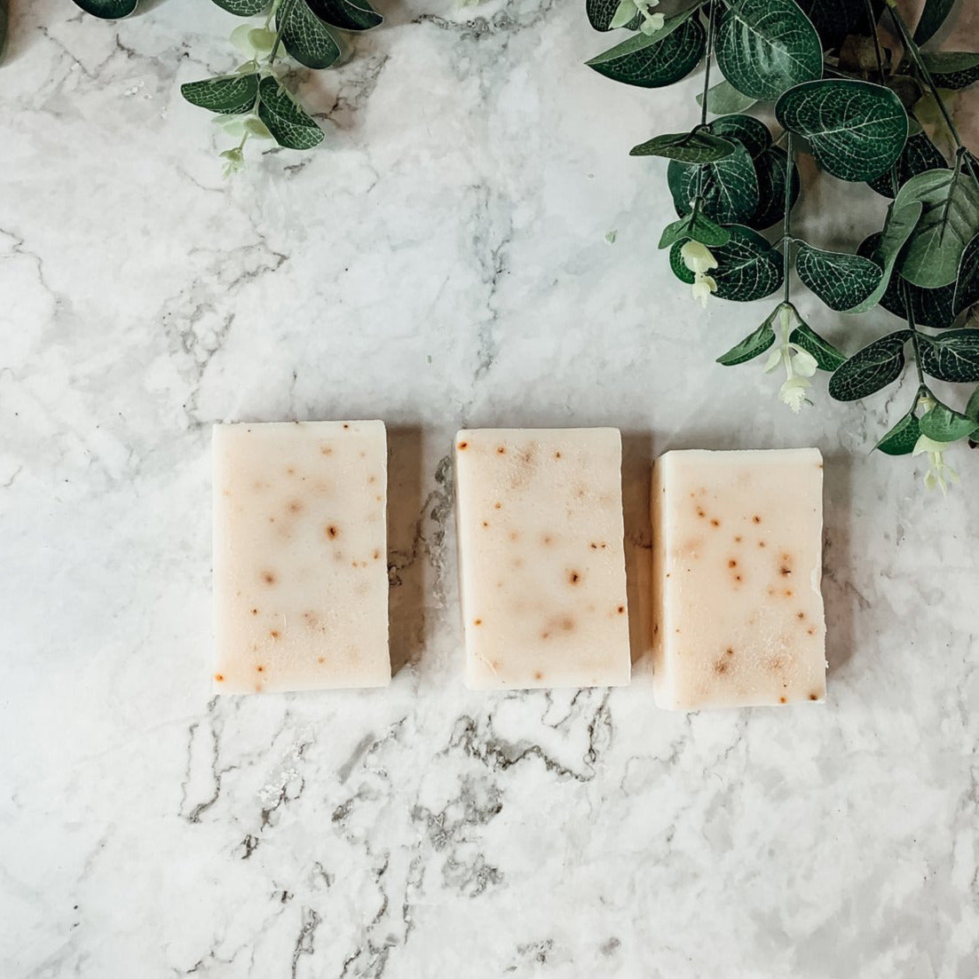 Aloe Eucalyptus Soothing Soap Bar Aloe Vera After-Sun Relief Natural Eucalyptus