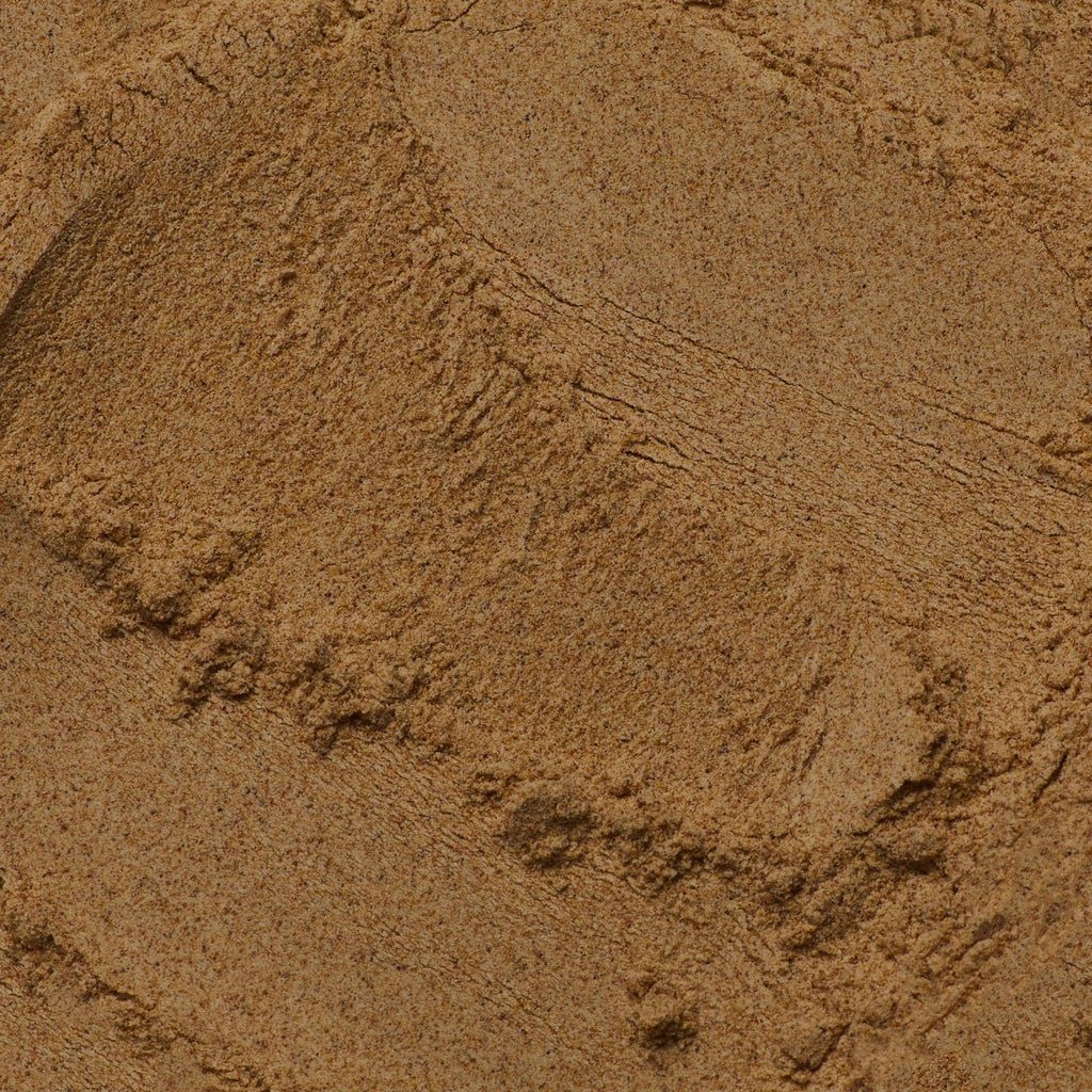 Astragalus