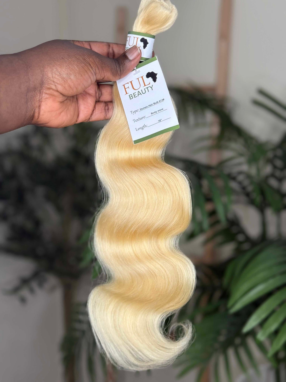 Body Wave