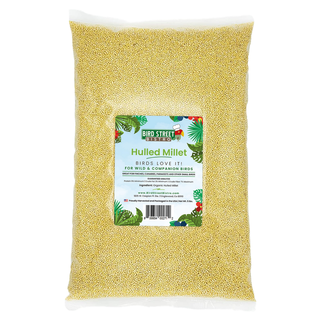 Hulled Millet - 5 lbs.