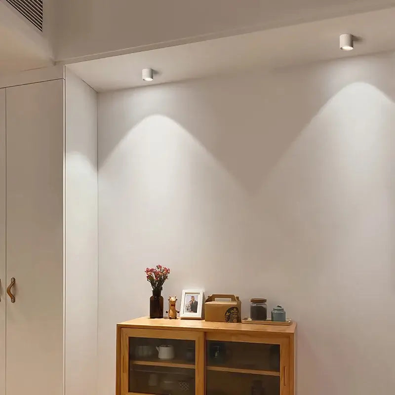 Modern black & white aluminum ceiling lamp living room spotlights