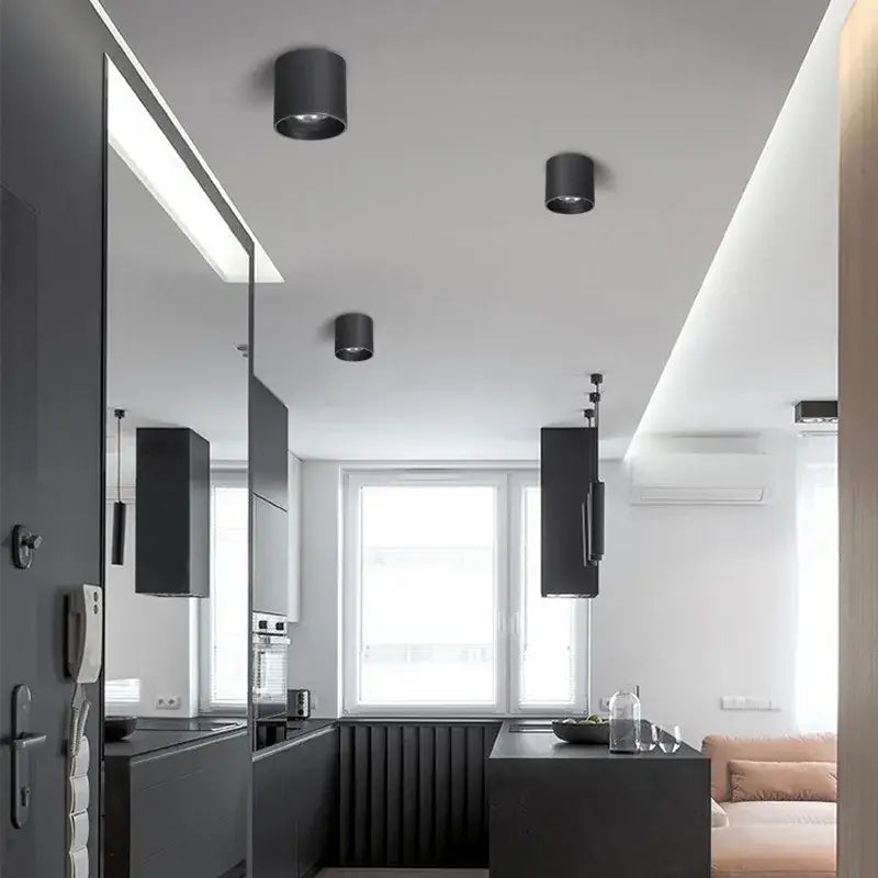 Modern black & white aluminum ceiling lamp living room spotlights