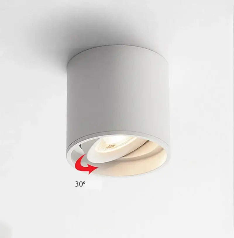 Modern black & white aluminum ceiling lamp living room spotlights
