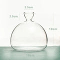 Clear glass hydroponic avocado starter kit kitchen decor growing vase