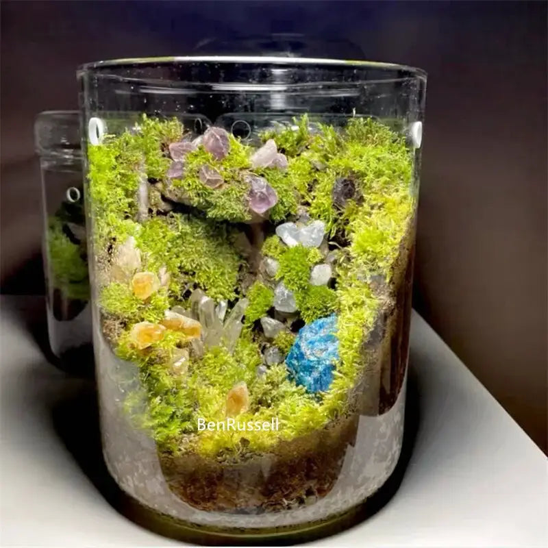 Miniature forest landscape glass bottle – living room home decor