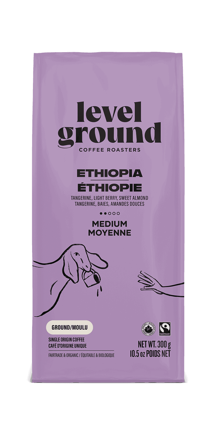 Ethiopian Medium Roast Coffee