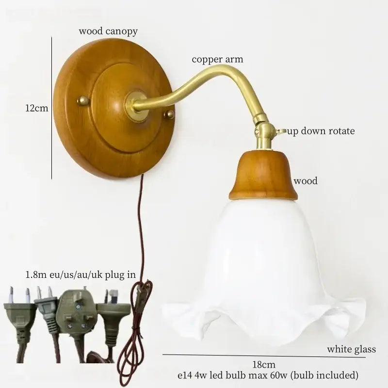 French vintage copper glass wall sconce bedroom pull chain light