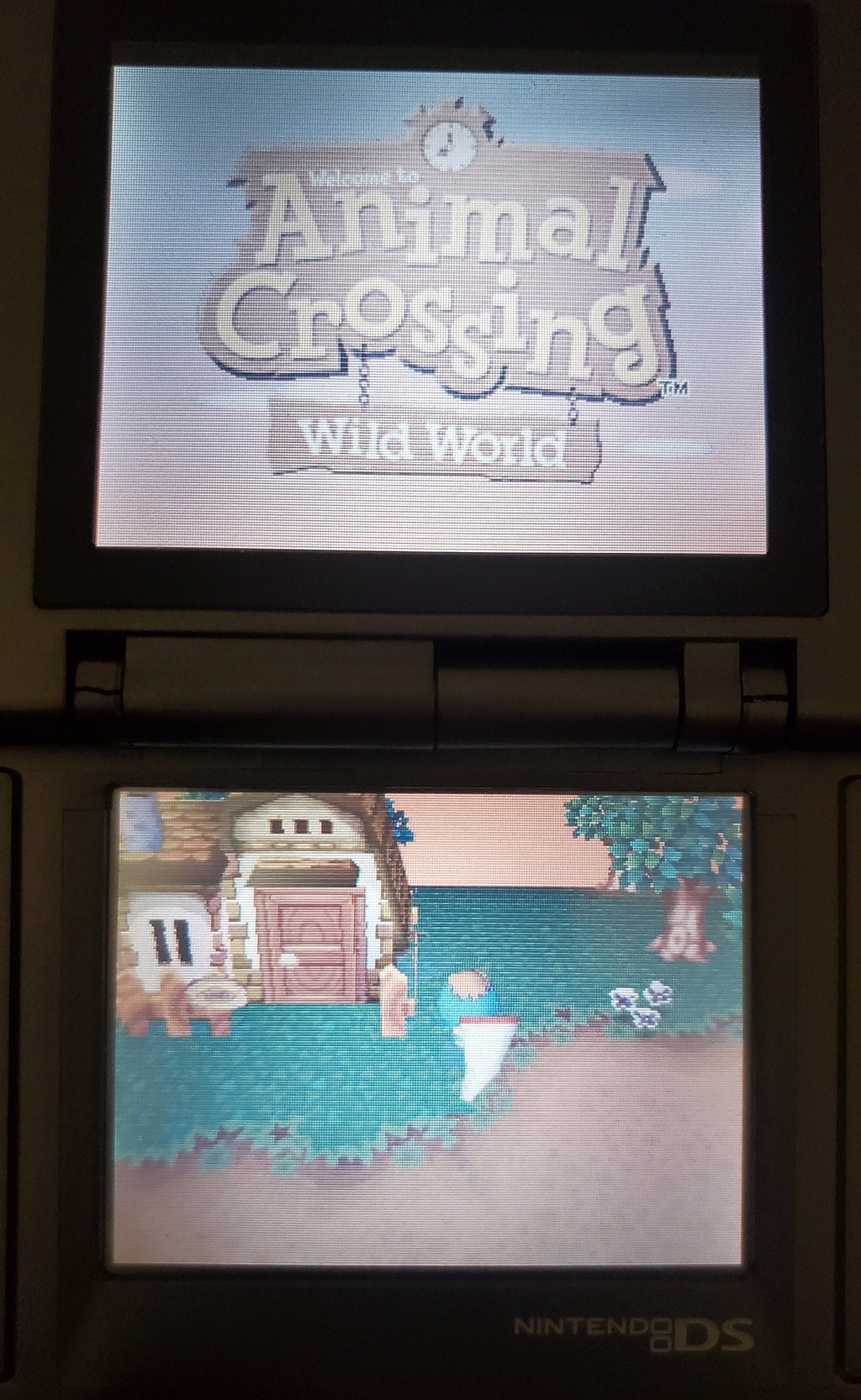 Animal Crossing Wild World NDS Video Game Cartridge Nintendo DS 2005